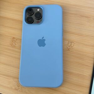 Apple iPhone 13 Pro Max case